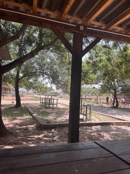 haras de l'espinette - photo 3