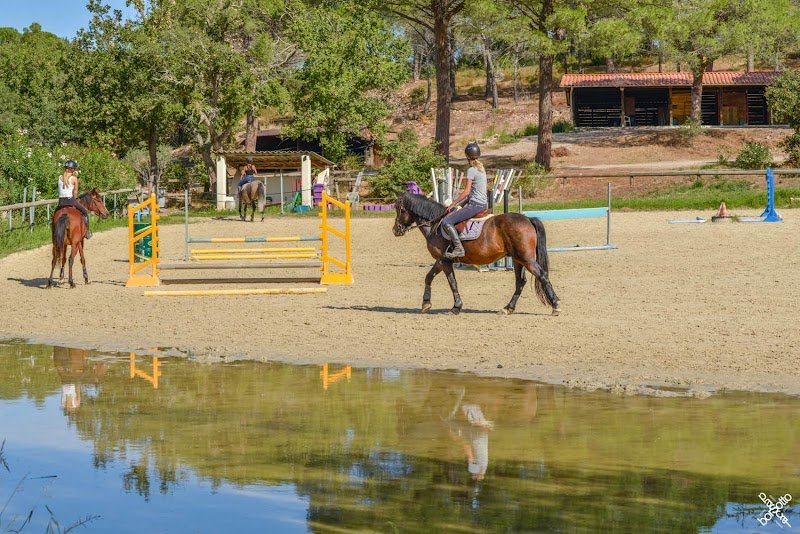 Ecurie du Derby - photo 2