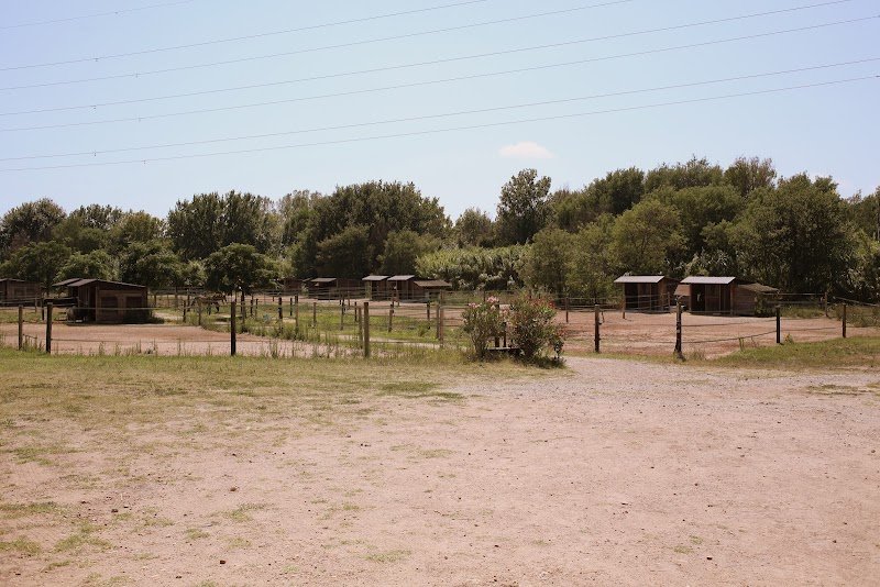 Ecurie du Derby - photo 3