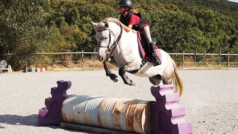 Les Écuries Entre Colles - photo 1