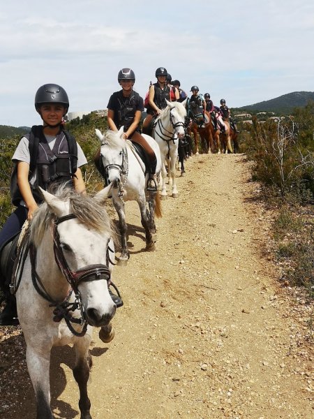 Les Écuries Entre Colles - photo 2