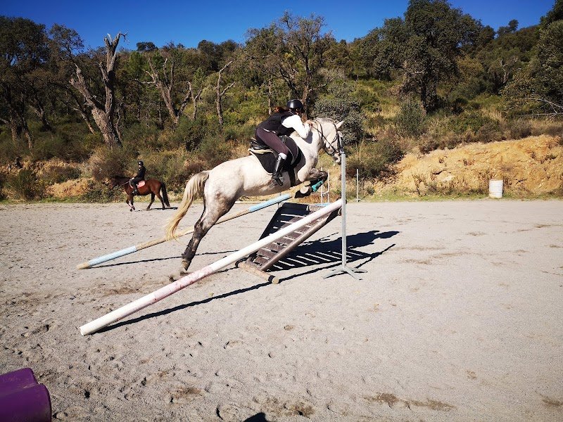 Les Écuries Entre Colles - photo 3
