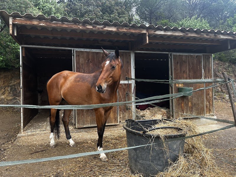 Les Ecuries de l'Eau Blanche - photo 3