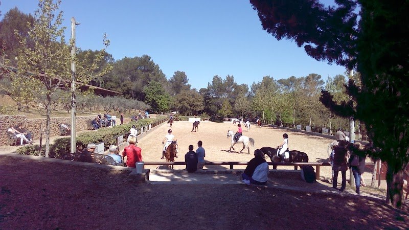 MASSA Horses - Écurie de Dressage - photo 2
