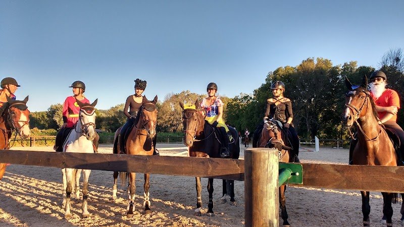 Le Cheval d'Argens - photo 1