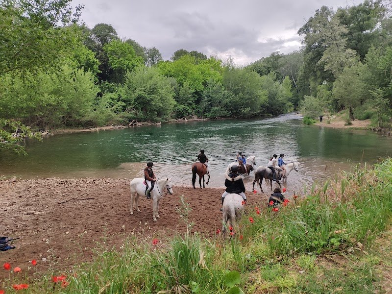 Le Cheval d'Argens - photo 3