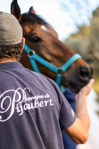 La Ferme Équestre de Pijaubert - photo 3