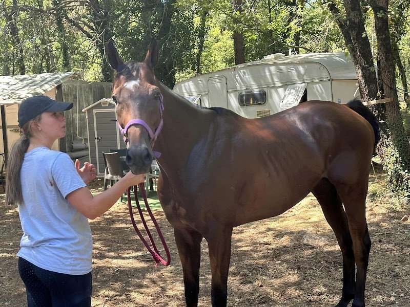PENSION CHEVAUX (PARAHORSES) CALLIAN 83440 - photo 2