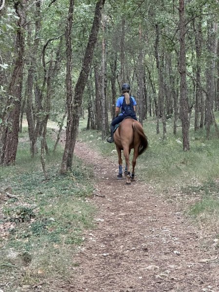 PENSION CHEVAUX (PARAHORSES) CALLIAN 83440 - photo 3