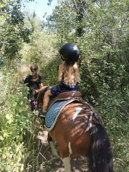 les ecuries de fondurane - photo 1