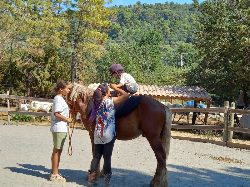 ECURIE PONEY FOLIES - photo 2