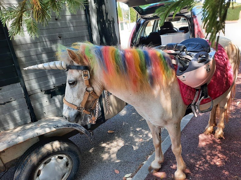 ECURIE PONEY FOLIES - photo 3