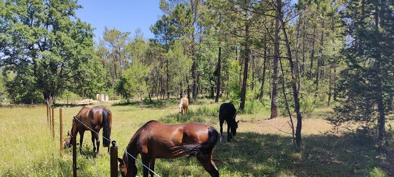 Les Ecuries de l'O - photo 3