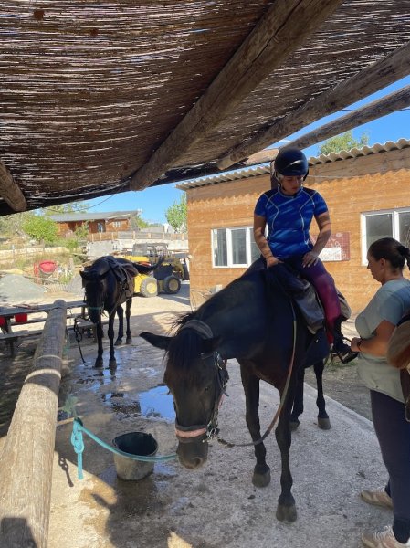 HARAS DES VILLARDS - photo 2