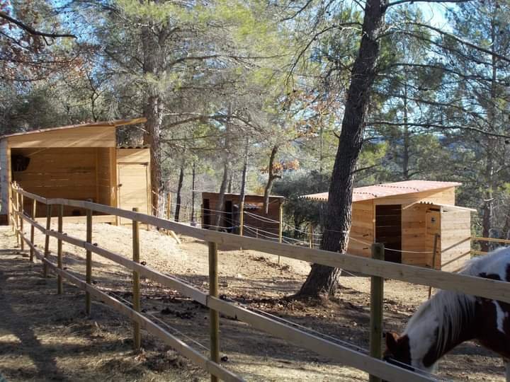 HARAS DES VILLARDS - photo 3