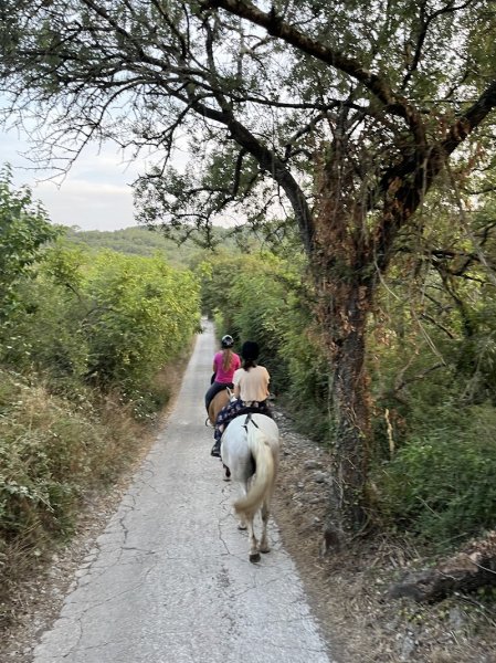 Les Écuries de La Baracka - photo 1