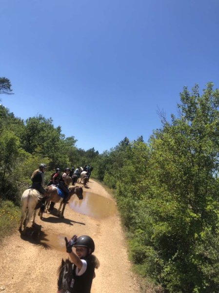 Les Écuries de La Baracka - photo 2