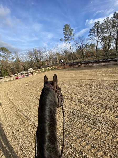 Domaine équestre de belle dame - photo 3