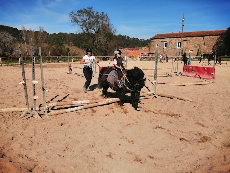 Ecurie du gabre - photo 2