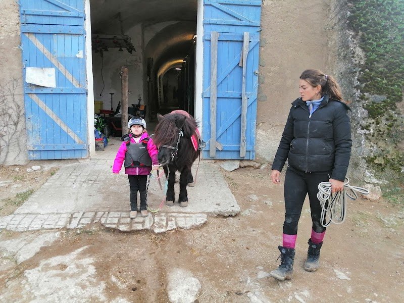 Ecurie du gabre - photo 3