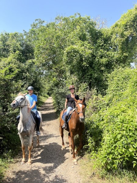 L'Ecurie Grandpierre