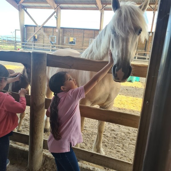L'Ecurie Grandpierre - photo 2