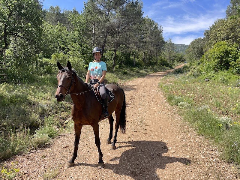 Écuries Mont Vert - photo 2