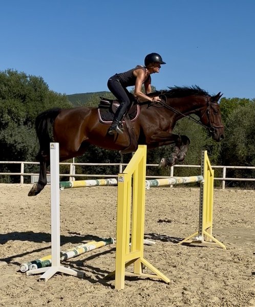 Écuries Mont Vert - photo 3