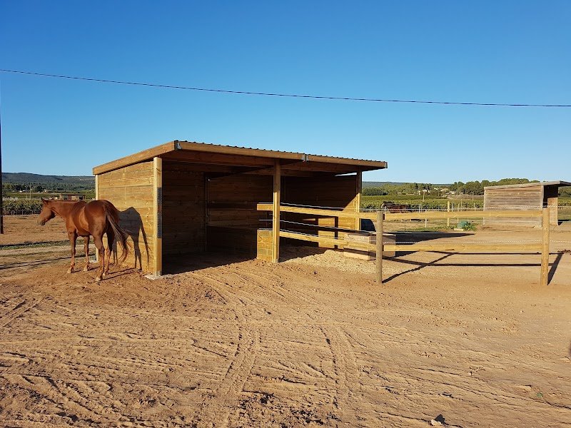 Les écuries de l'Arc - photo 3