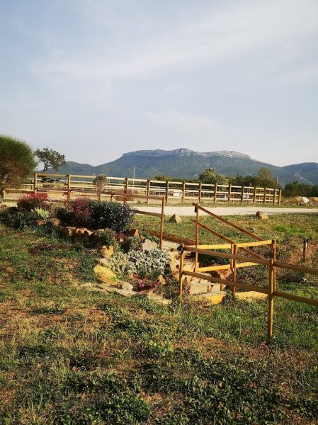 Haras du Triomphe. Flg Maréchalerie. - photo 1