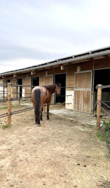 Domaine Équestre des Seignères - photo 3