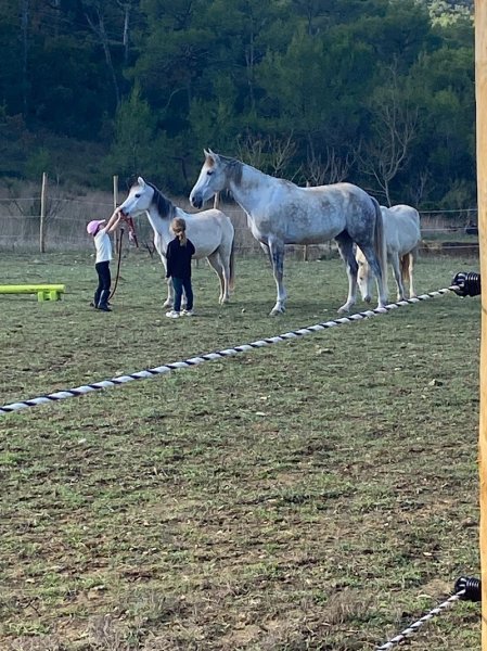 LES ECURIES DU NANOU - photo 1