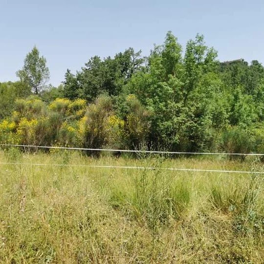 LES ECURIES DU NANOU - photo 2