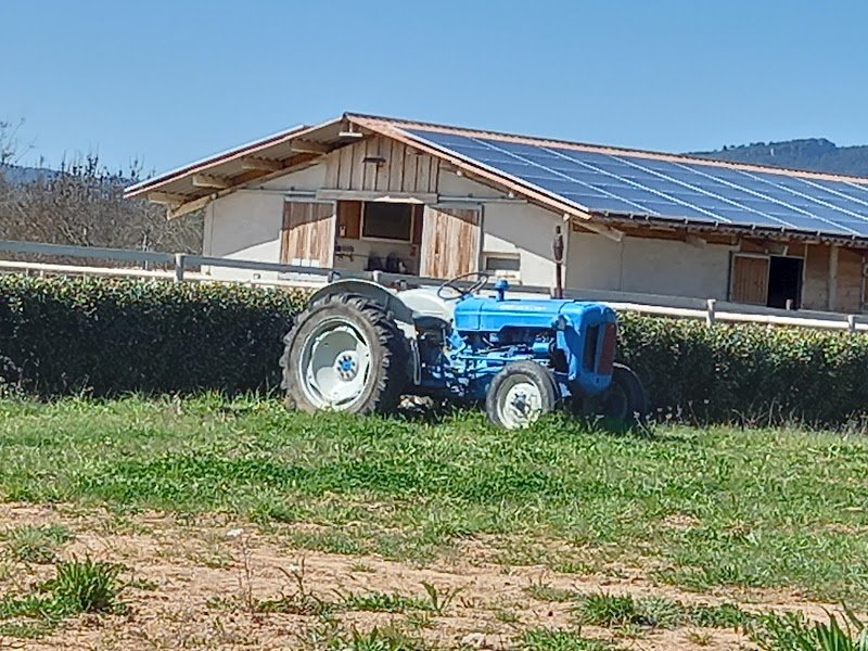 Écurie de propriétaire des Chevignes - photo 2