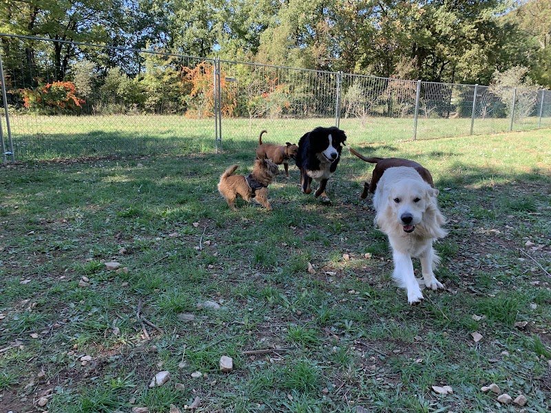 La pension de Croc’Baron - photo 1