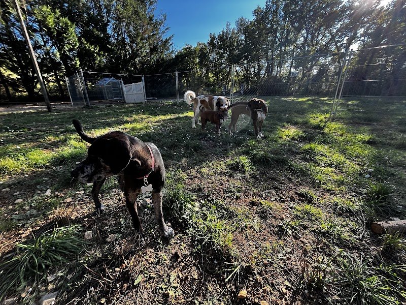 La pension de Croc’Baron - photo 2