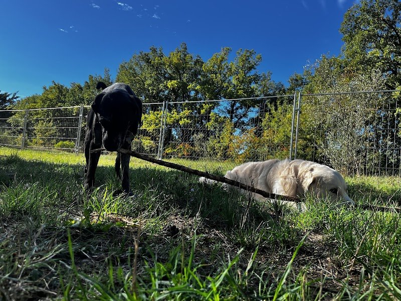 La pension de Croc’Baron - photo 3