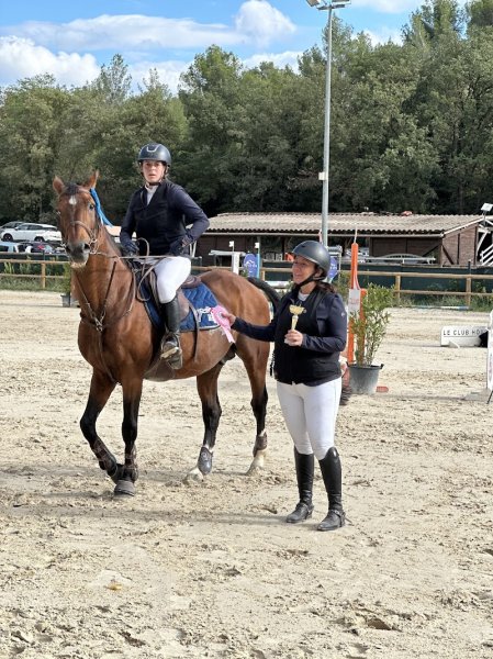 Haras de Bois Soleil - photo 3