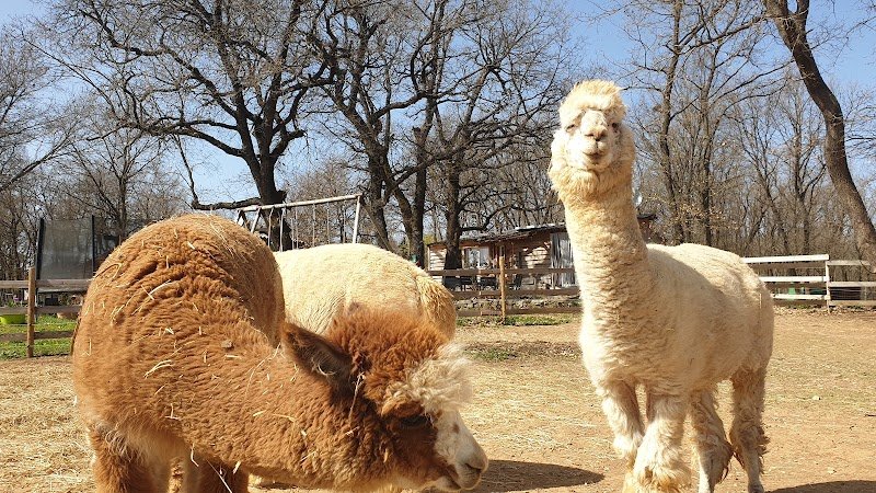 Les Écuries D'Edoras - photo 1