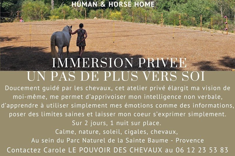 Le Pouvoir des Chevaux - photo 1