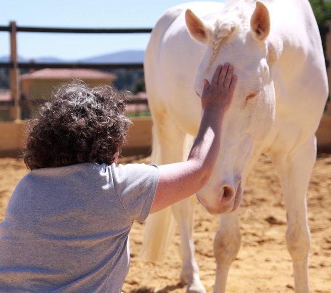 Le Pouvoir des Chevaux - photo 2