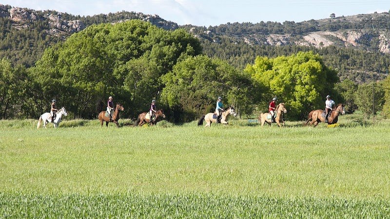 EQUINANS - le Centre Equestre de Nans les Pins - CHEVAL PASSION & AVENTURES