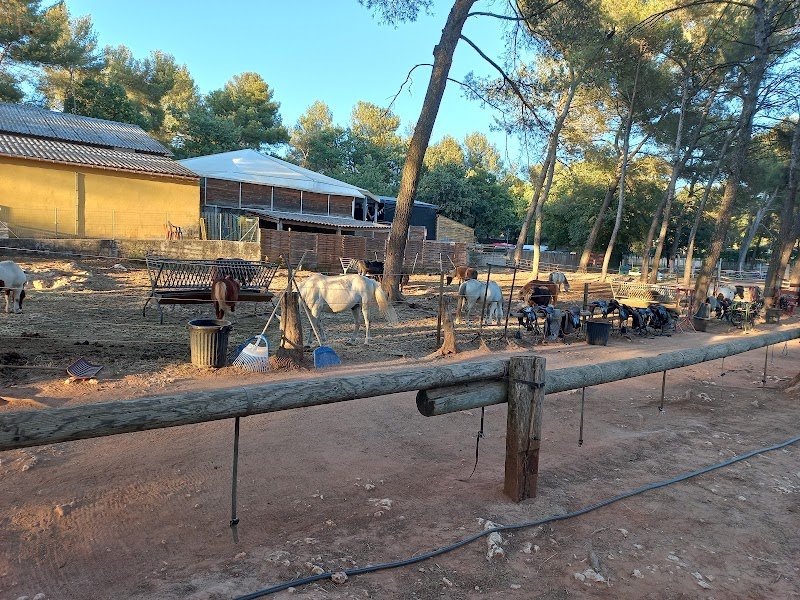 EQUINANS - le Centre Equestre de Nans les Pins - CHEVAL PASSION & AVENTURES - photo 2