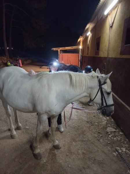 EQUINANS - le Centre Equestre de Nans les Pins - CHEVAL PASSION & AVENTURES - photo 3