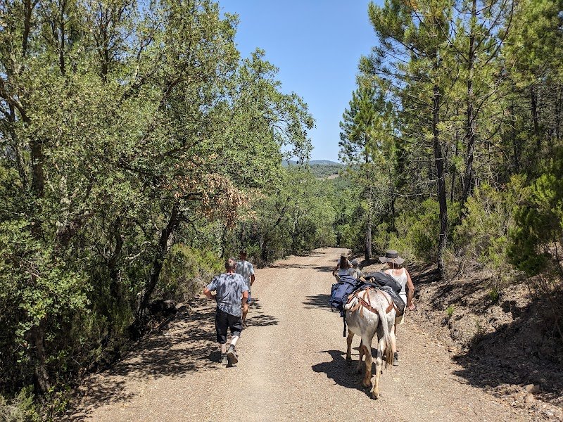 pension des ducs - photo 2