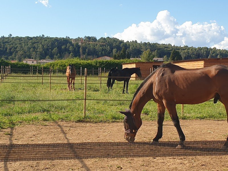 pension des ducs - photo 3