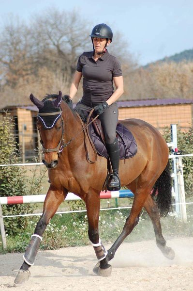 Écurie les oliviers - photo 1