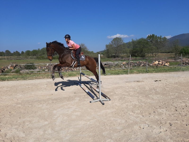 Écurie les oliviers - photo 3