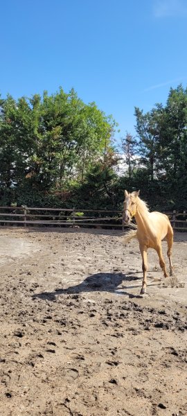 Ecurie Azcue - photo 3