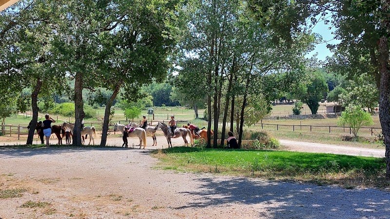 Ecurie Blue Ride - photo 2